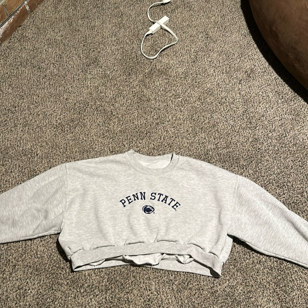 Penn State Sweater/Crop Top